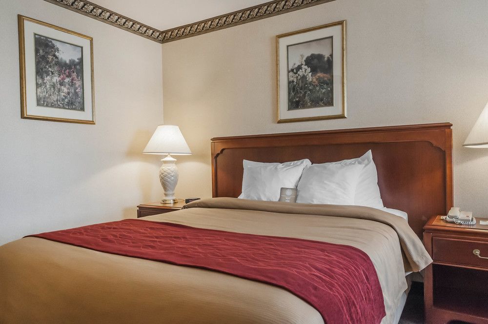 Comfort Inn Meadowvale Мисисага Екстериор снимка